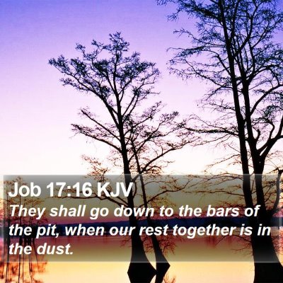 Job 17:16 KJV Bible Verse Image