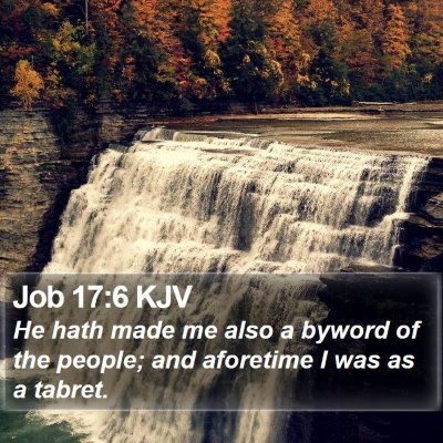 Job 17:6 KJV Bible Verse Image