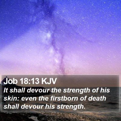 Job 18:13 KJV Bible Verse Image