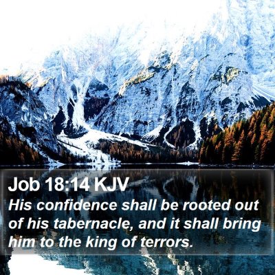 Job 18:14 KJV Bible Verse Image
