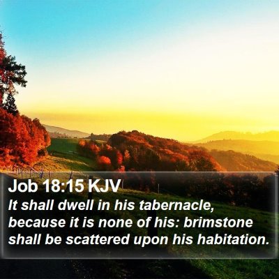 Job 18:15 KJV Bible Verse Image