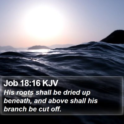 Job 18:16 KJV Bible Verse Image