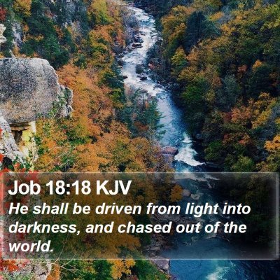 Job 18:18 KJV Bible Verse Image