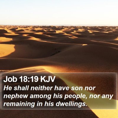 Job 18:19 KJV Bible Verse Image