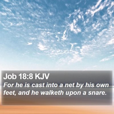 Job 18:8 KJV Bible Verse Image
