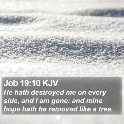 Job 19:10 KJV Bible Verse Image