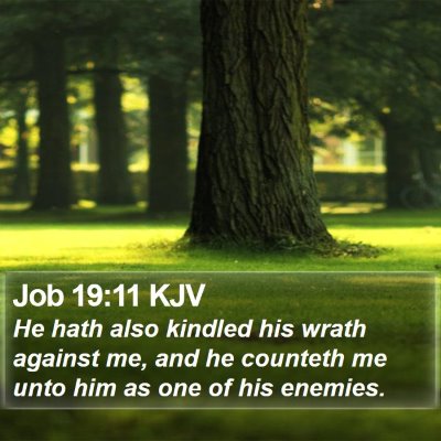Job 19:11 KJV Bible Verse Image