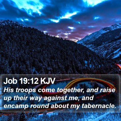 Job 19:12 KJV Bible Verse Image