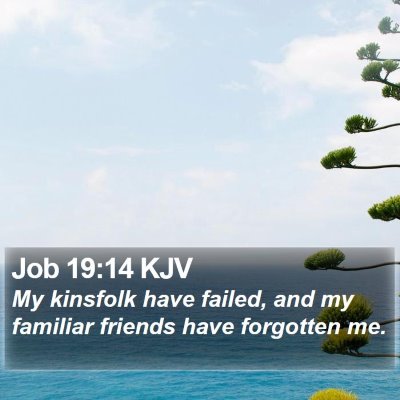 Job 19:14 KJV Bible Verse Image
