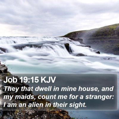 Job 19:15 KJV Bible Verse Image