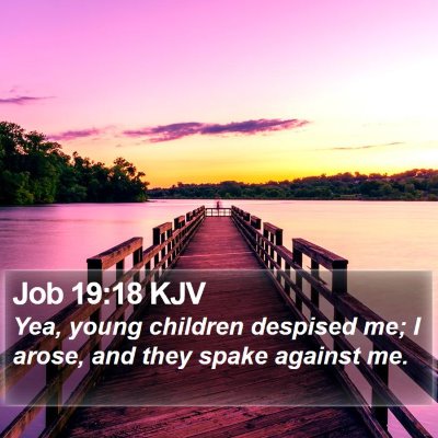 Job 19:18 KJV Bible Verse Image