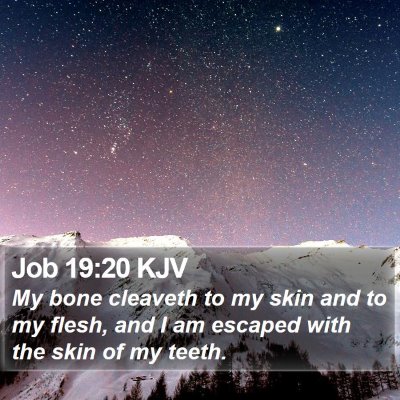Job 19:20 KJV Bible Verse Image