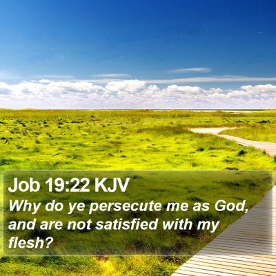 Job 19:22 KJV Bible Verse Image