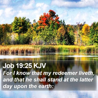 Job 19:25 KJV Bible Verse Image