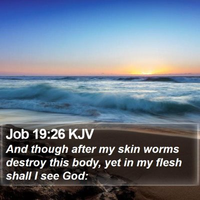 Job 19:26 KJV Bible Verse Image