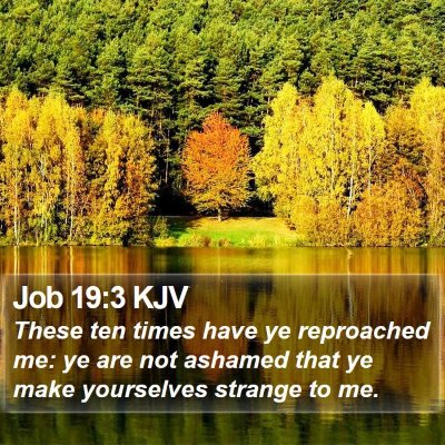 Job 19:3 KJV Bible Verse Image