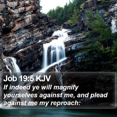 Job 19:5 KJV Bible Verse Image