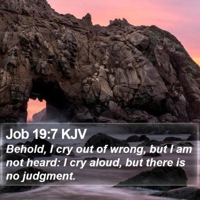 Job 19:7 KJV Bible Verse Image