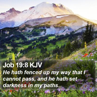 Job 19:8 KJV Bible Verse Image