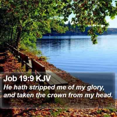 Job 19:9 KJV Bible Verse Image