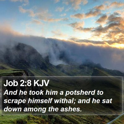 Job 2:8 KJV Bible Verse Image