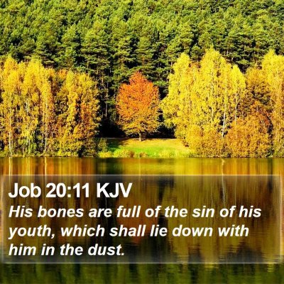 Job 20:11 KJV Bible Verse Image