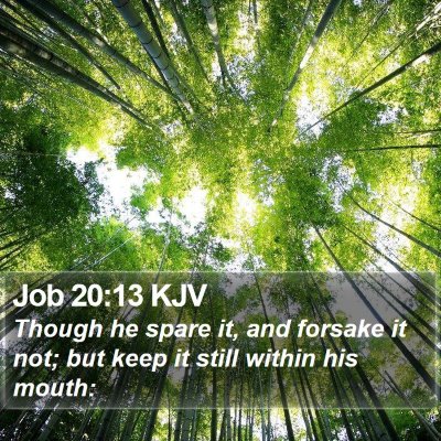 Job 20:13 KJV Bible Verse Image