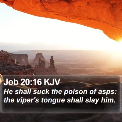 Job 20:16 KJV Bible Verse Image