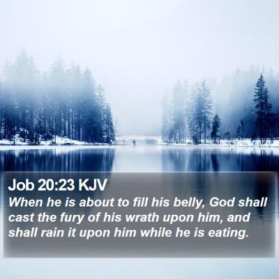 Job 20:23 KJV Bible Verse Image