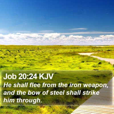 Job 20:24 KJV Bible Verse Image