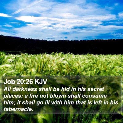 Job 20:26 KJV Bible Verse Image