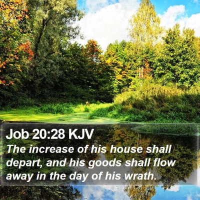 Job 20:28 KJV Bible Verse Image