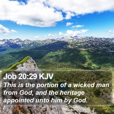 Job 20:29 KJV Bible Verse Image