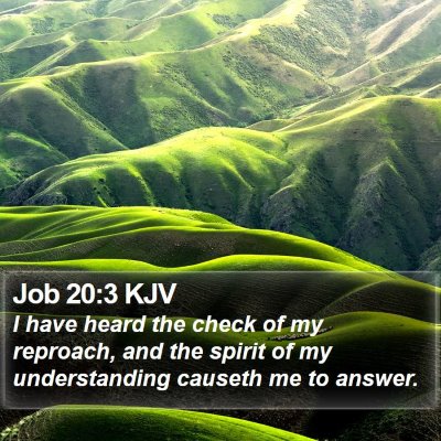 Job 20:3 KJV Bible Verse Image
