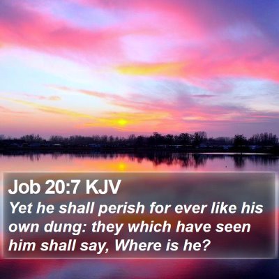 Job 20:7 KJV Bible Verse Image