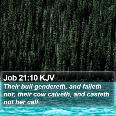 Job 21:10 KJV Bible Verse Image