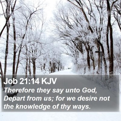 Job 21:14 KJV Bible Verse Image