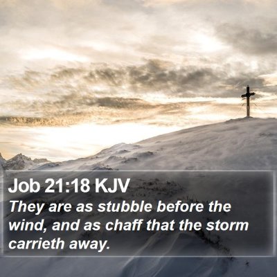 Job 21:18 KJV Bible Verse Image