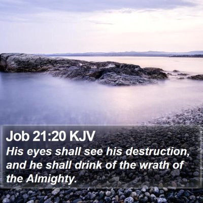 Job 21:20 KJV Bible Verse Image