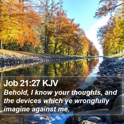 Job 21:27 KJV Bible Verse Image
