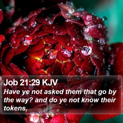 Job 21:29 KJV Bible Verse Image