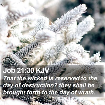 Job 21:30 KJV Bible Verse Image