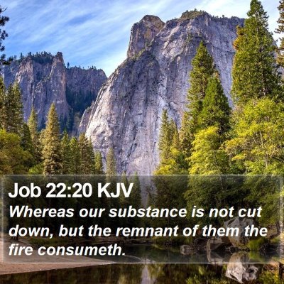 Job 22:20 KJV Bible Verse Image