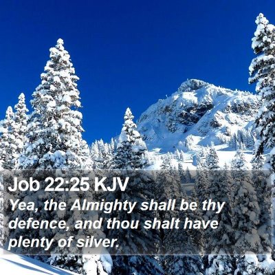 Job 22:25 KJV Bible Verse Image