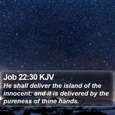 Job 22:30 KJV Bible Verse Image