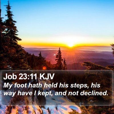Job 23:11 KJV Bible Verse Image
