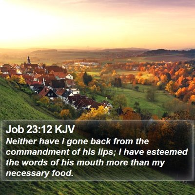 Job 23:12 KJV Bible Verse Image
