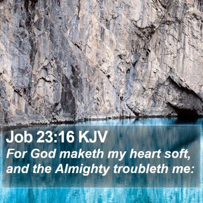 Job 23:16 KJV Bible Verse Image