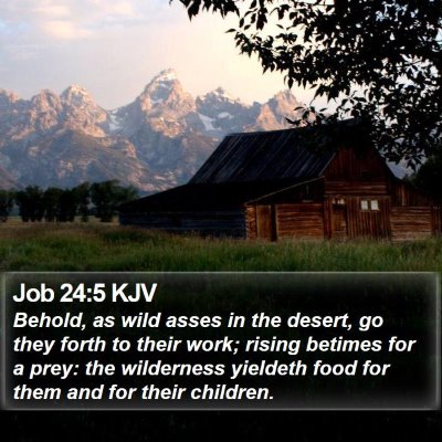 Job 24:5 KJV Bible Verse Image