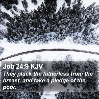 Job 24:9 KJV Bible Verse Image